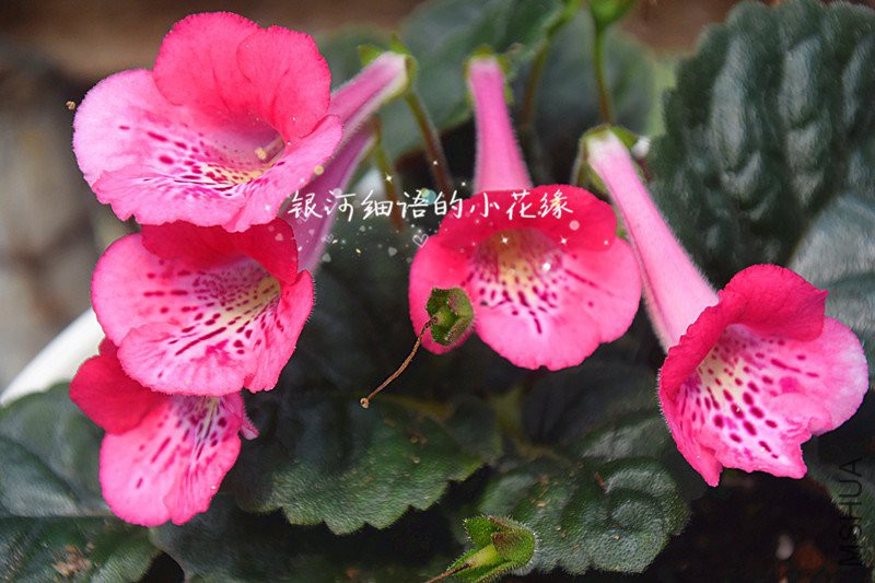 DSC_3361_����.jpg
