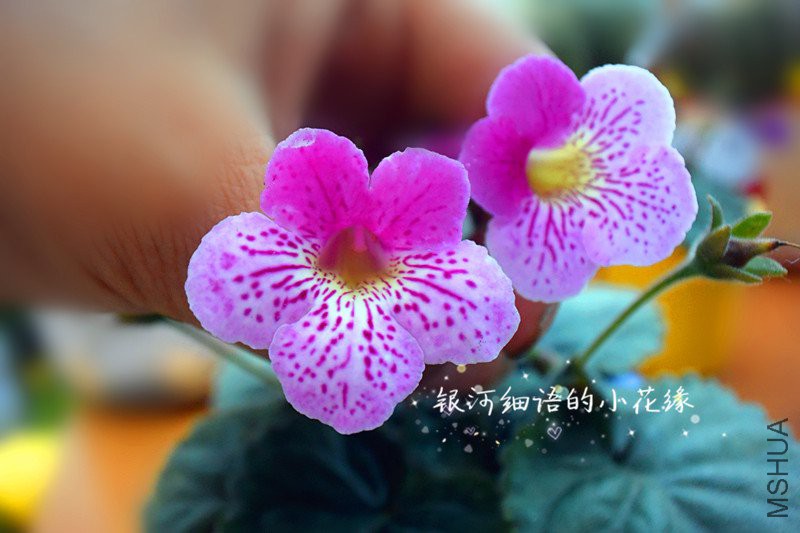 DSC_3368_����.jpg