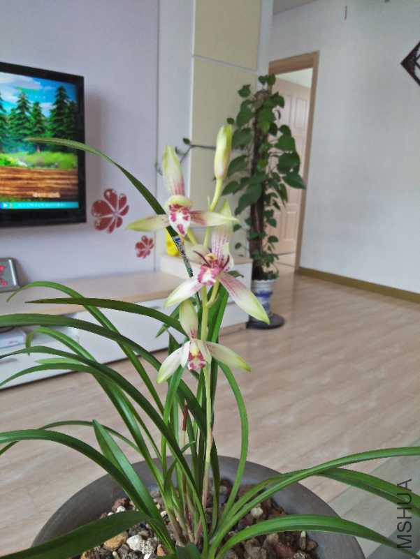 IMG20180728105532.jpg