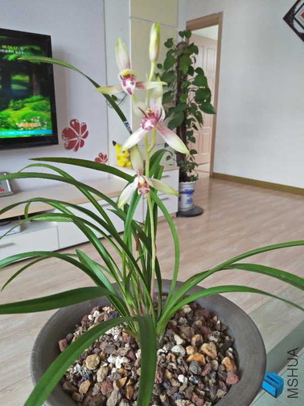 IMG20180728105545.jpg