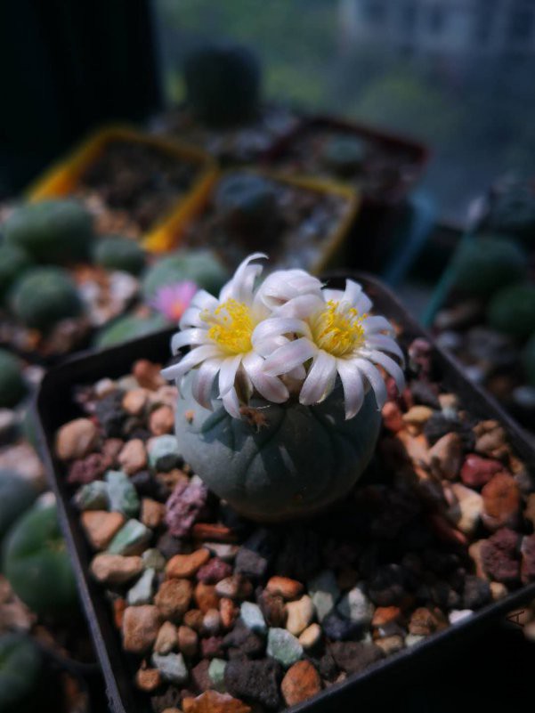 ΢��ͼƬ_20180728121617.jpg