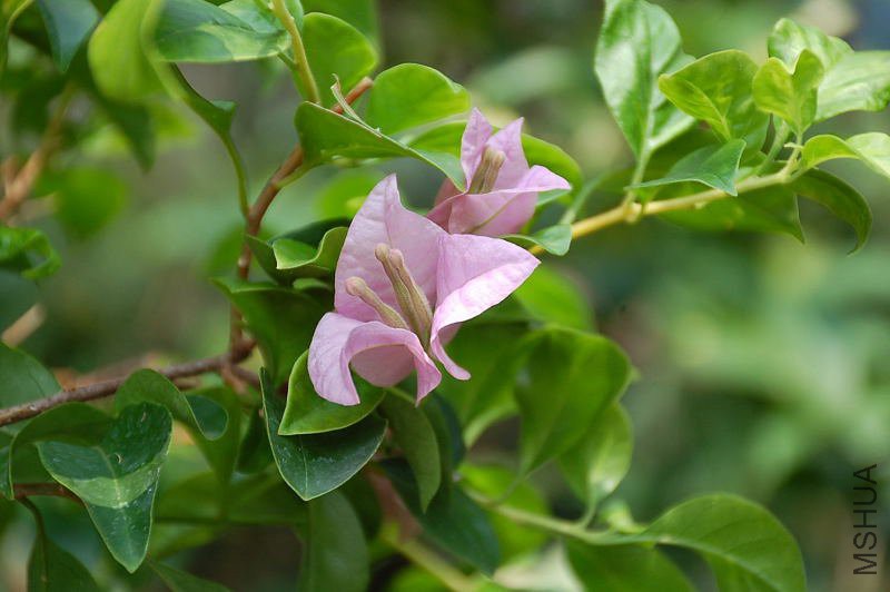 DSC_74290252.JPG