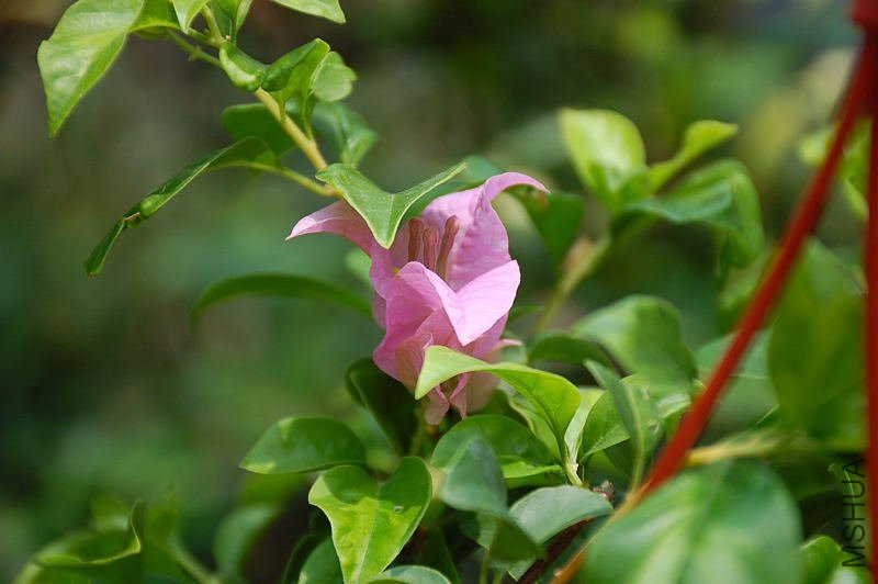 DSC_74340257.JPG