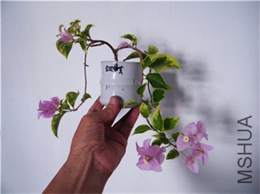 2018 07 27 015.jpg