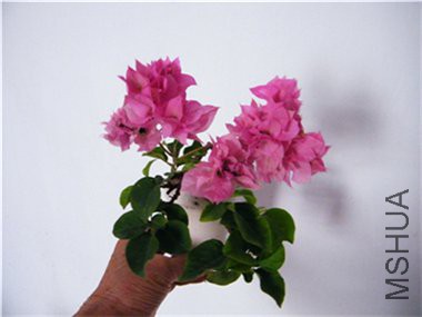 2018 07 27 005.jpg