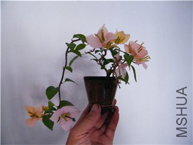 2018 07 27 010.jpg