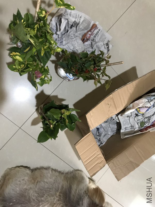 ΢��ͼƬ_20180805135313.jpg