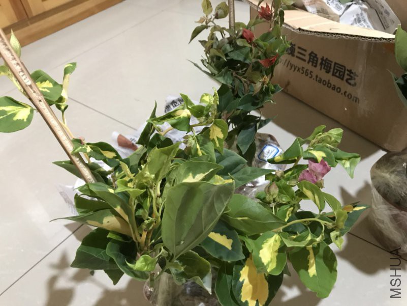 ΢��ͼƬ_201808051353132.jpg