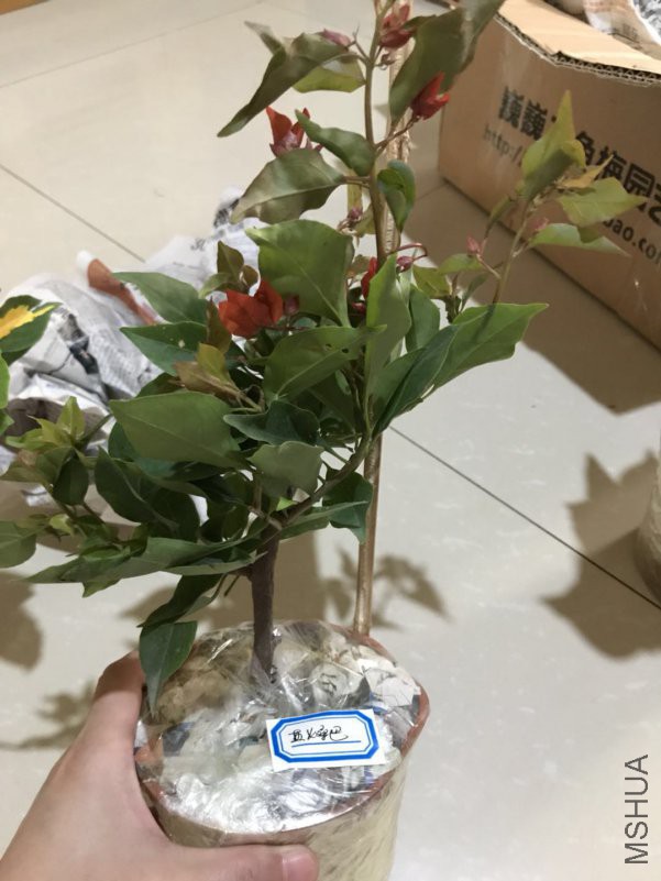΢��ͼƬ_201808051353143.jpg
