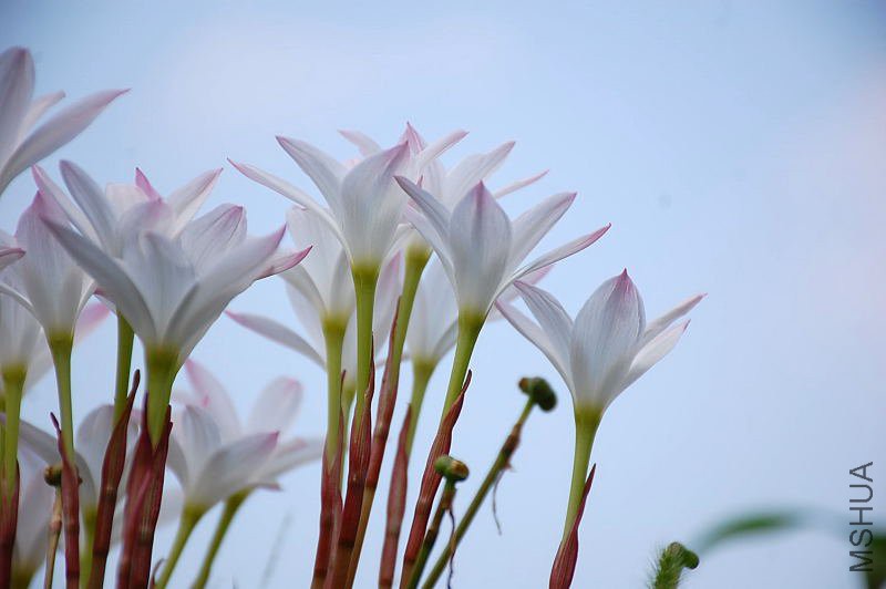 DSC_88890005.JPG
