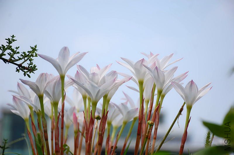 DSC_88980014.JPG