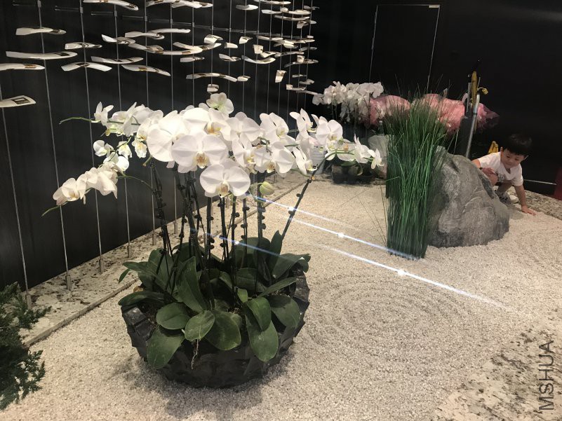 IMG_8037.JPG