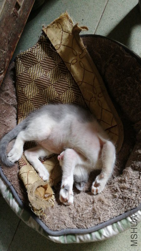 IMG20180805101358.jpg