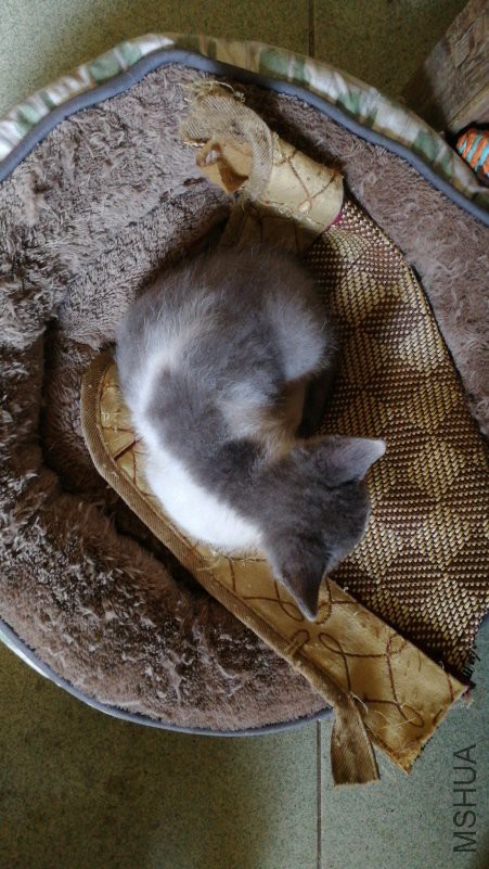 IMG20180805120842.jpg