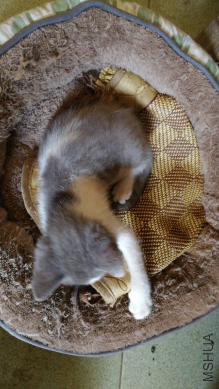 IMG20180805120906.jpg