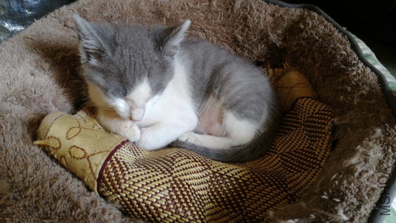 IMG20180805121241.jpg