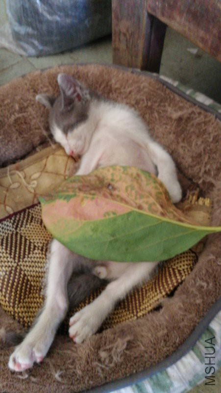IMG20180805124548.jpg