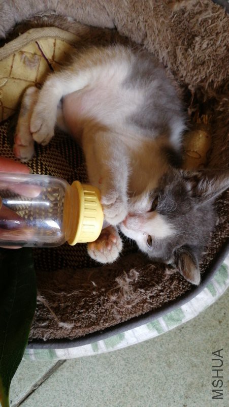 IMG20180805131441.jpg