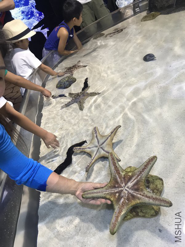 ����ˮ���