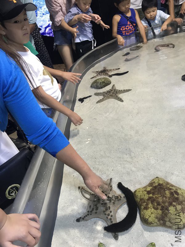 ����ˮ���