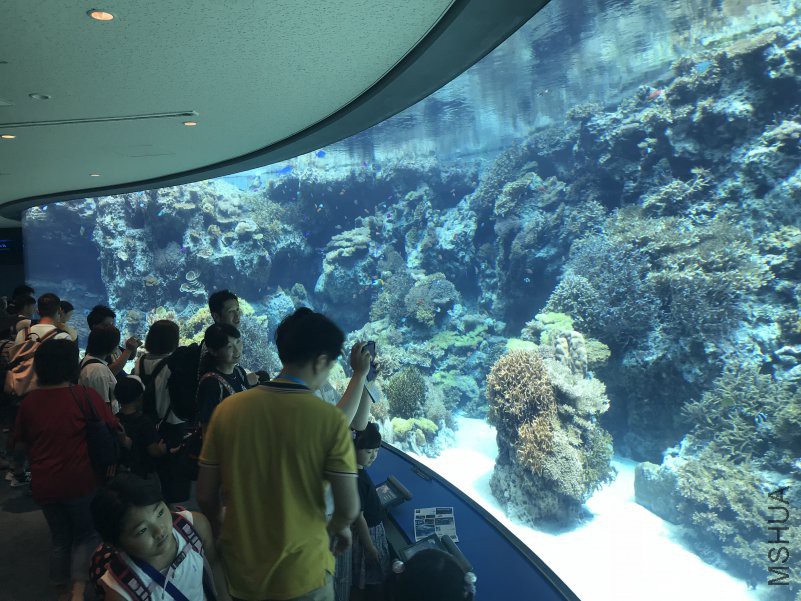 ����ˮ���