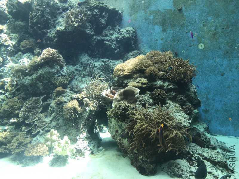 ����ˮ���