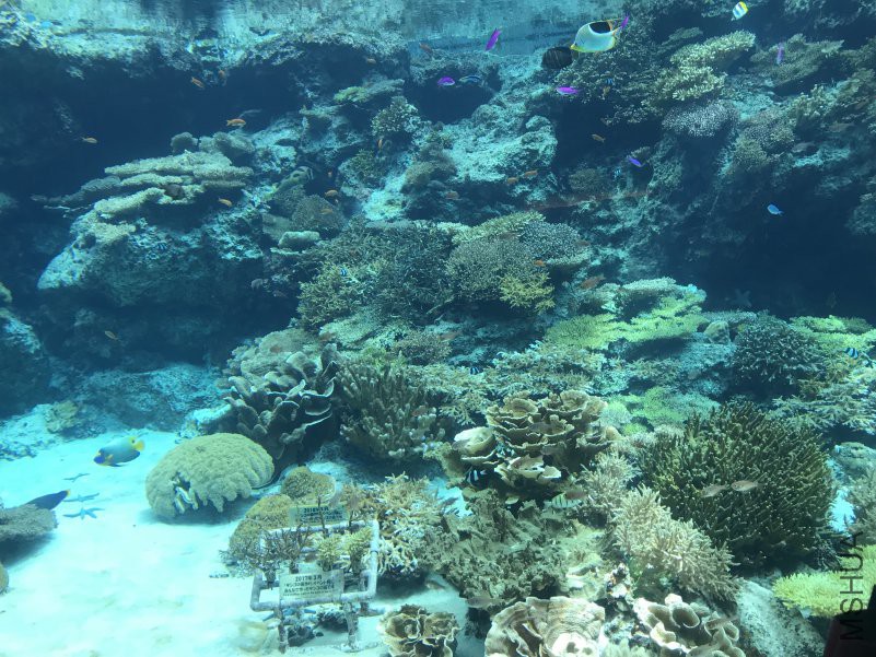 ����ˮ���