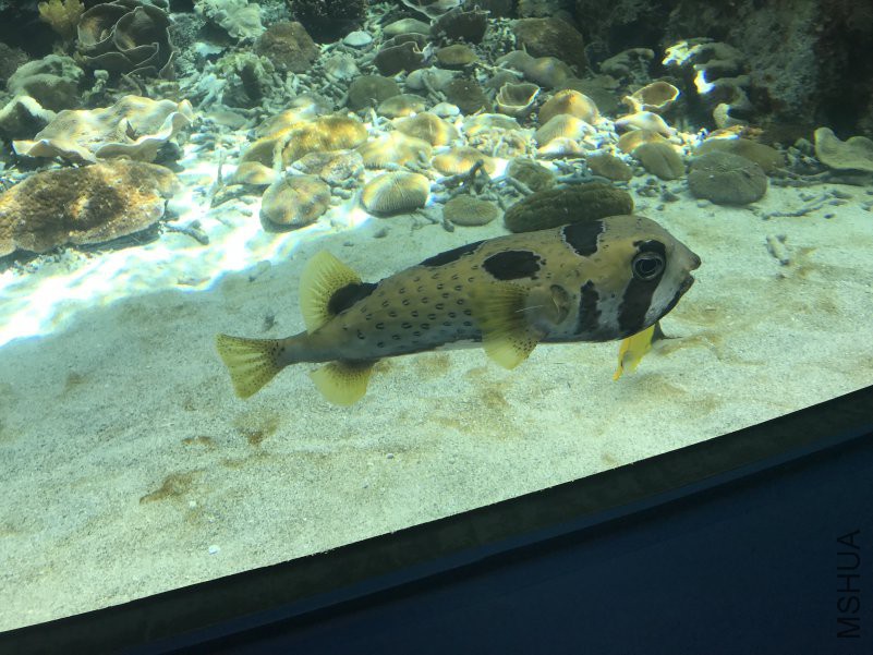 ����ˮ���