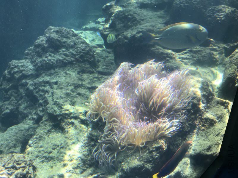 ����ˮ���