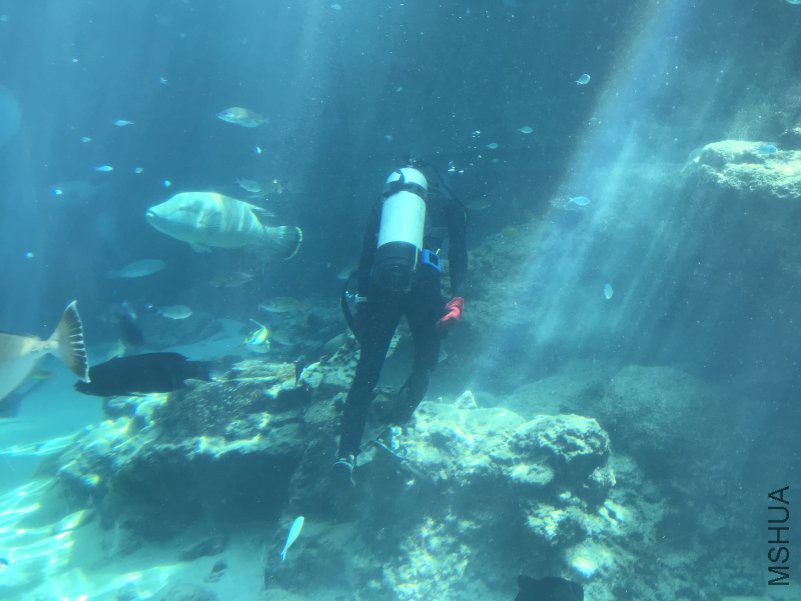 ����ˮ���