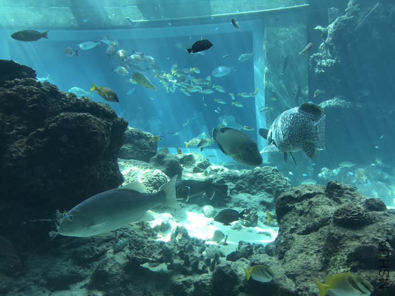 ����ˮ���