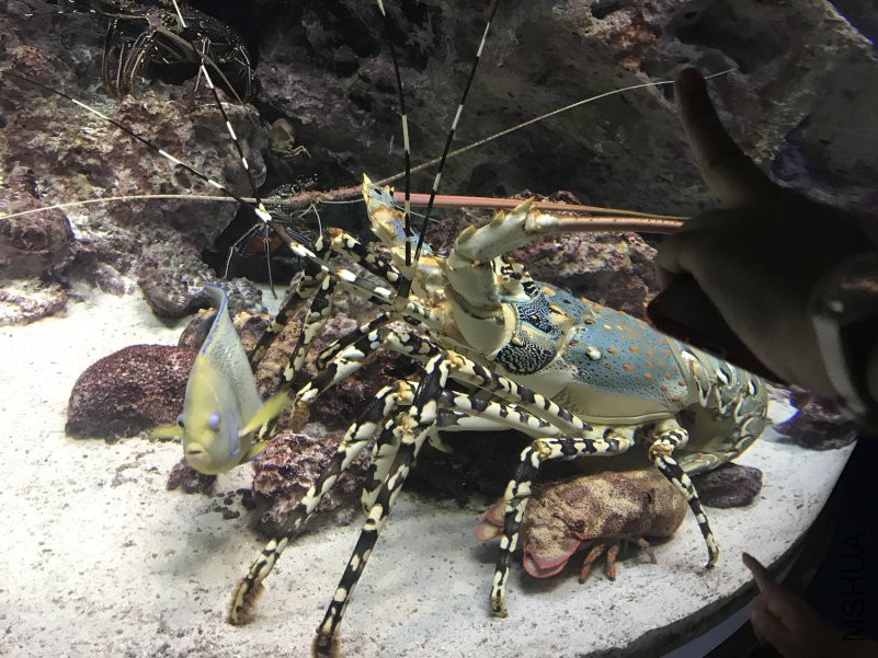 ����ˮ���