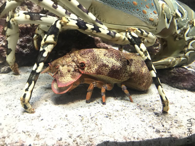 ����ˮ���