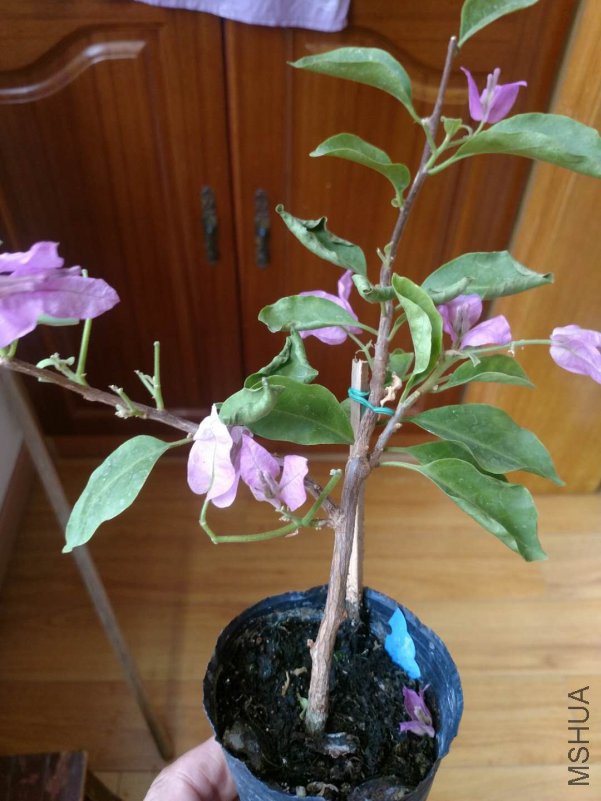 ΢��ͼƬ_20180806100855.jpg