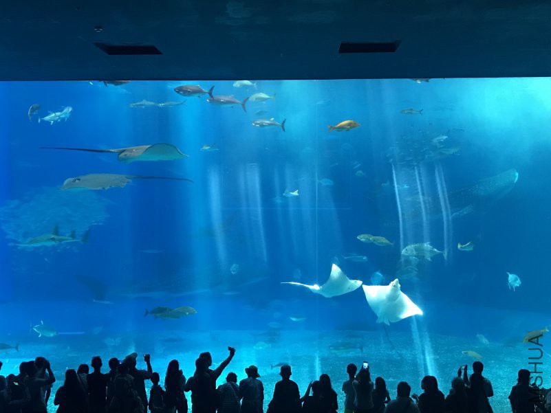 ����ˮ���