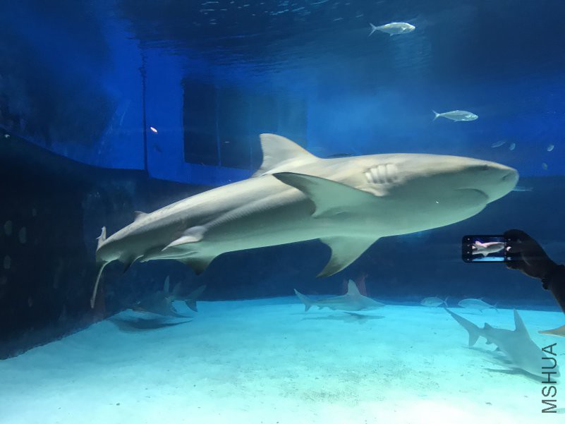 ����ˮ���