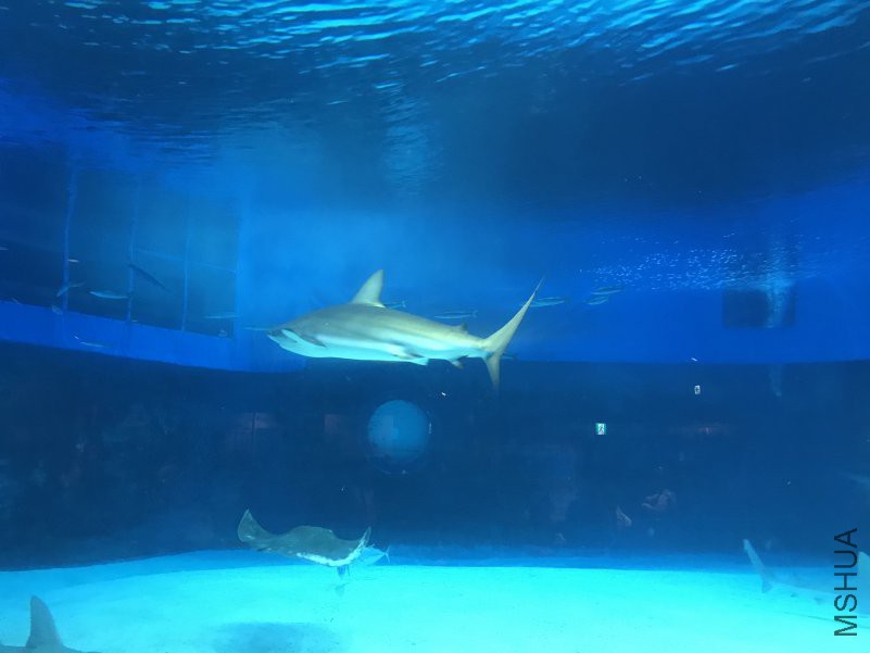 ����ˮ���