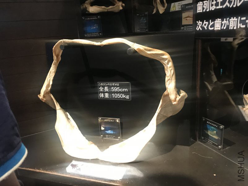 ����ˮ���