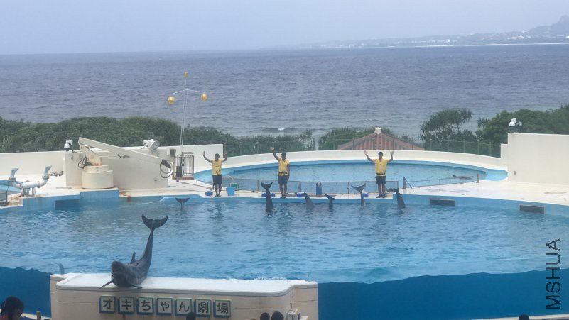 ����ˮ���