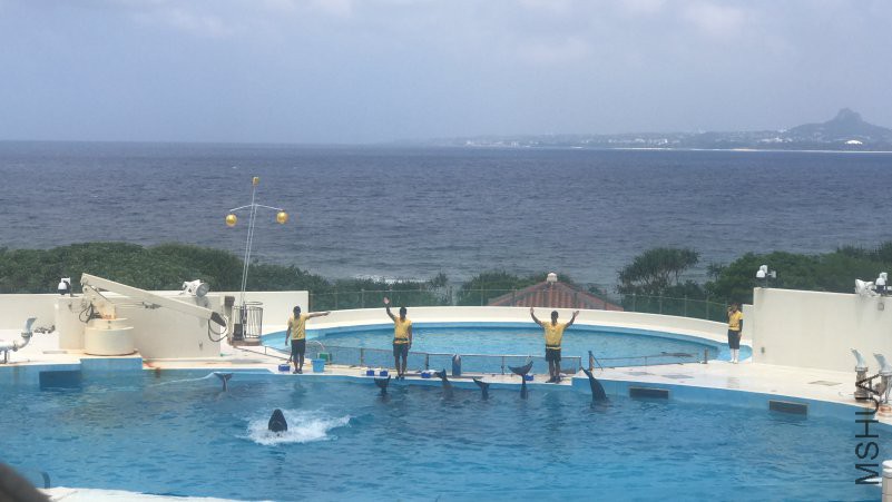 ����ˮ���