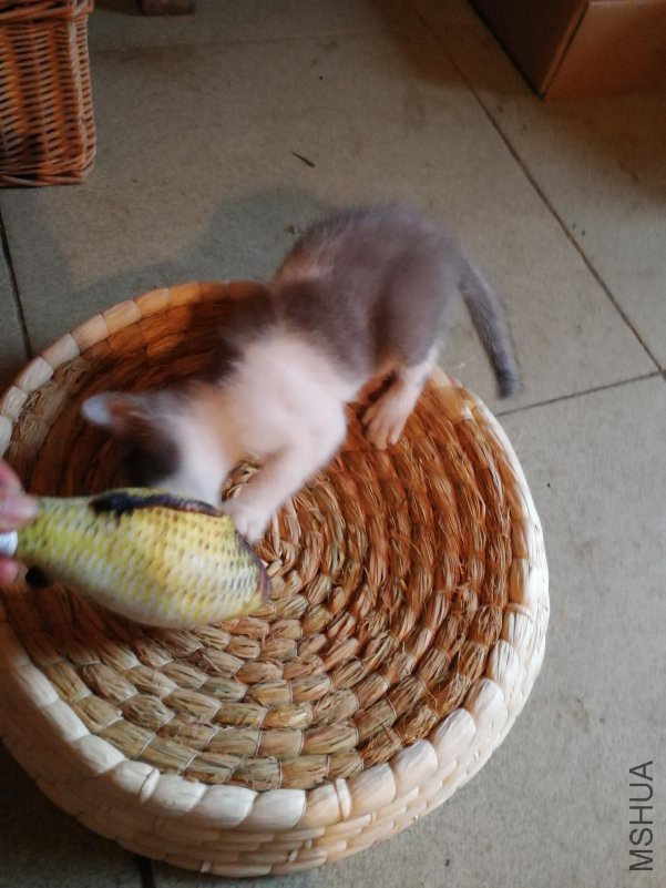 IMG_20180806_172850.jpg