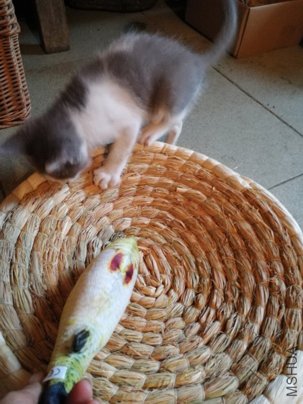 IMG_20180806_172855.jpg