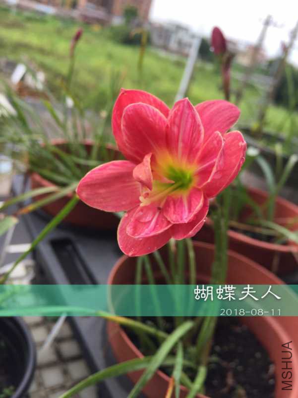 EC0FCC80-0B1B-4921-B1AE-910F27EC3483.jpeg