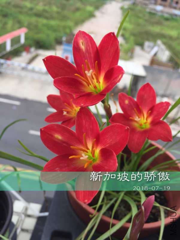 4EC80640-B2BB-4C25-AB48-1EC056EBE34A.jpeg