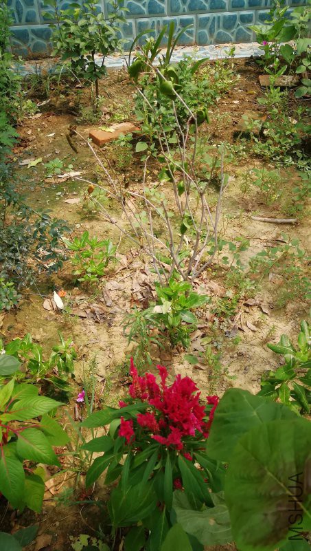 ΢��ͼƬ_20180813084451.jpg
