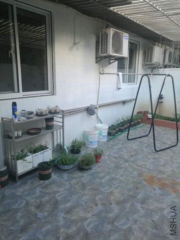 ΢��ͼƬ_20180815165751.jpg