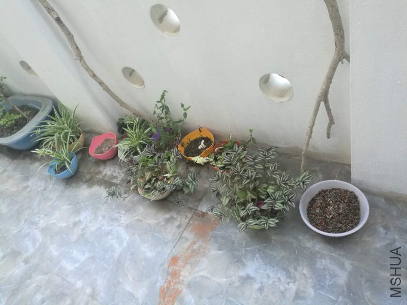 ΢��ͼƬ_20180815165754.jpg
