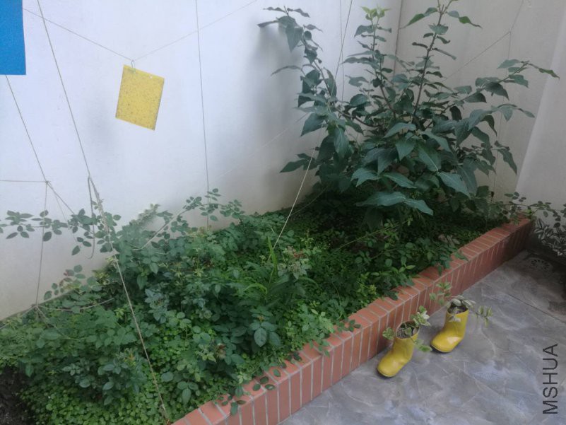 ΢��ͼƬ_20180815165801.jpg