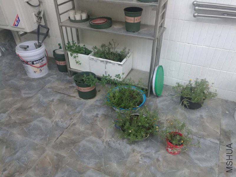΢��ͼƬ_20180815165806.jpg