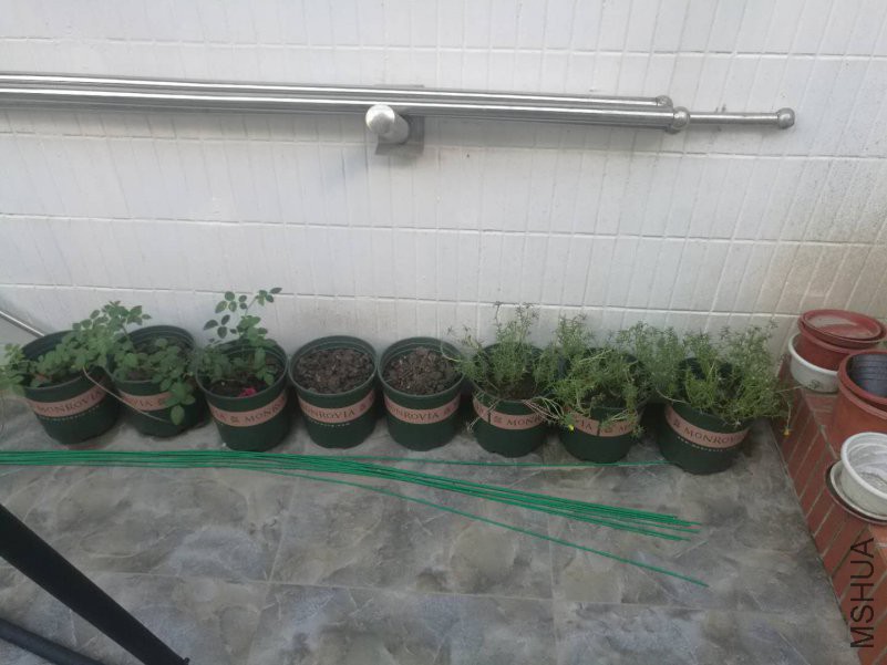 ΢��ͼƬ_20180815165803.jpg